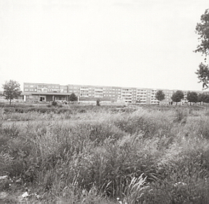 Senftenberg